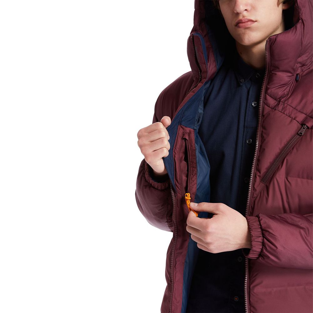 Chaquetas Timberland Argentina Hombre - Neo Summit Hooded Invierno - Burdeos - HBXZLP-184